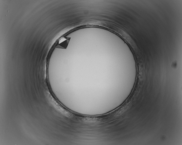 X0000116621036200912312134