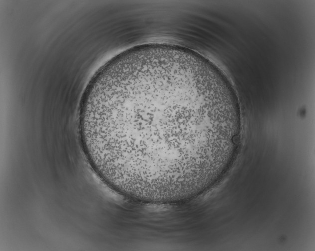 X0000116621037200912312134