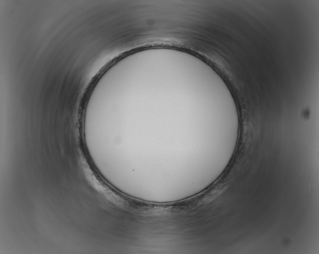 X0000116621038200912312134