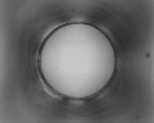 X0000116621039200912312134