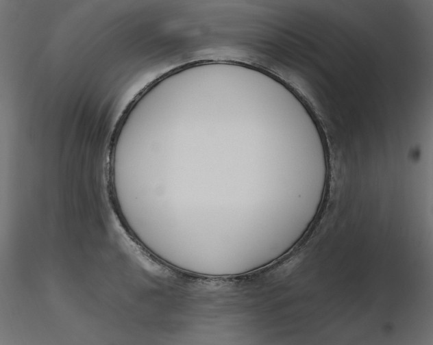 X0000116621040200912312134