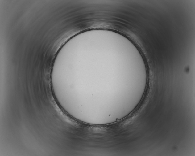 X0000116621041200912312134