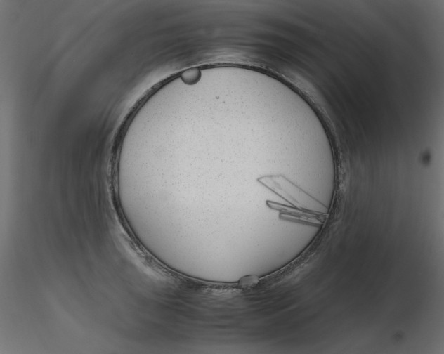 X0000116621043200912312135