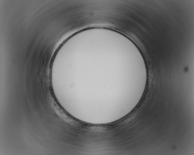 X0000116621044200912312135