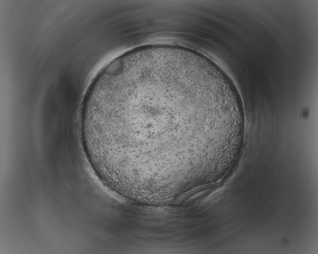 X0000116621045200912312135