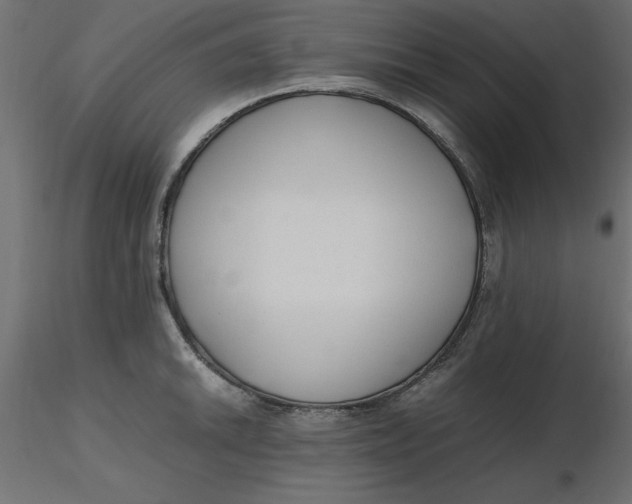 X0000116621046200912312135