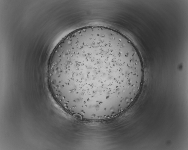 X0000116621048200912312135