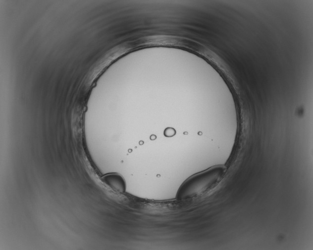 X0000116621049200912312135