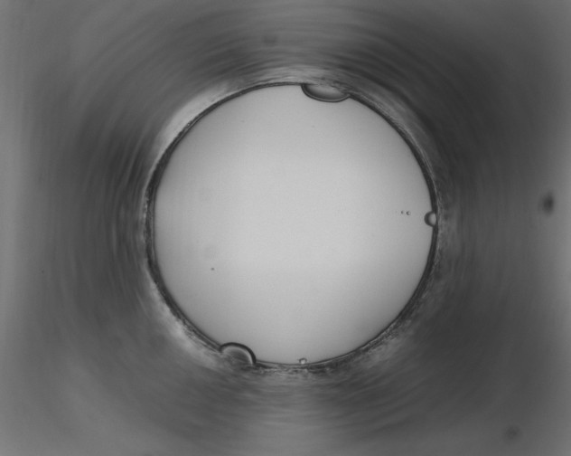 X0000116621050200912312135