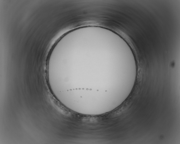 X0000116621051200912312135