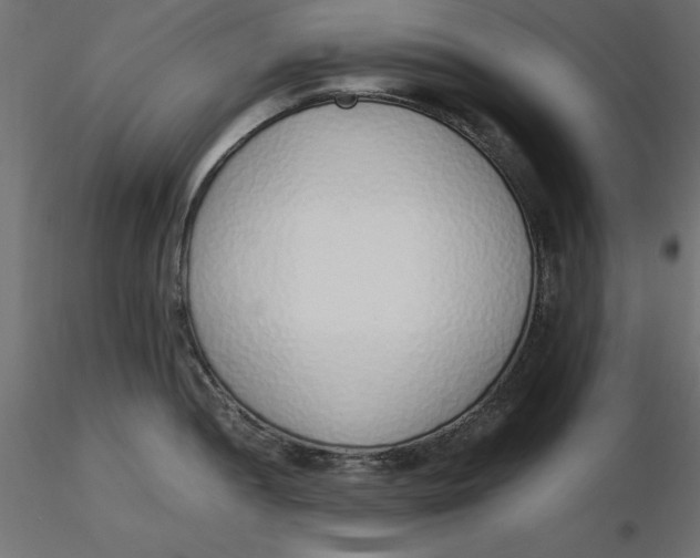 X0000116621052200912312135