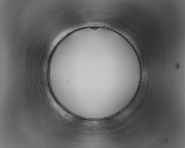 X0000116621054200912312135