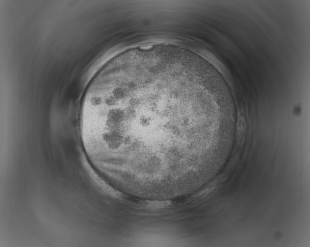 X0000116621055200912312135