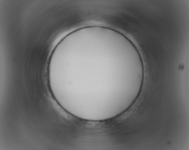 X0000116621056200912312135