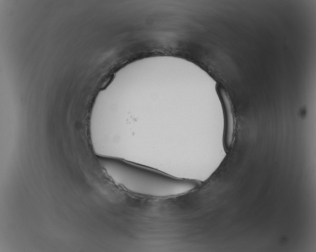 X0000116621057200912312134