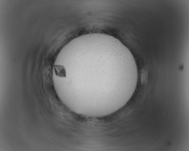 X0000116621059200912312134