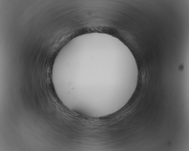 X0000116621060200912312134