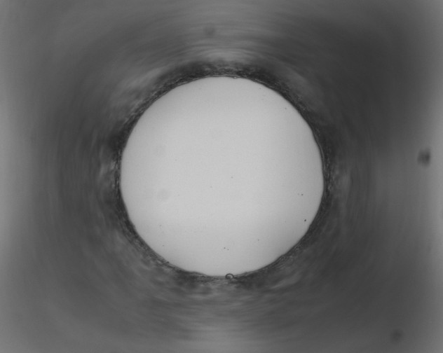 X0000116621061200912312134