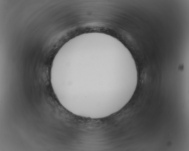 X0000116621062200912312134