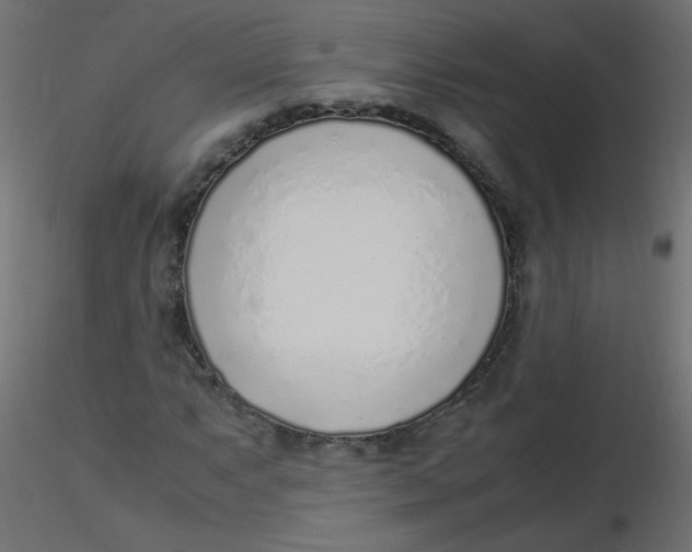 X0000116621063200912312134