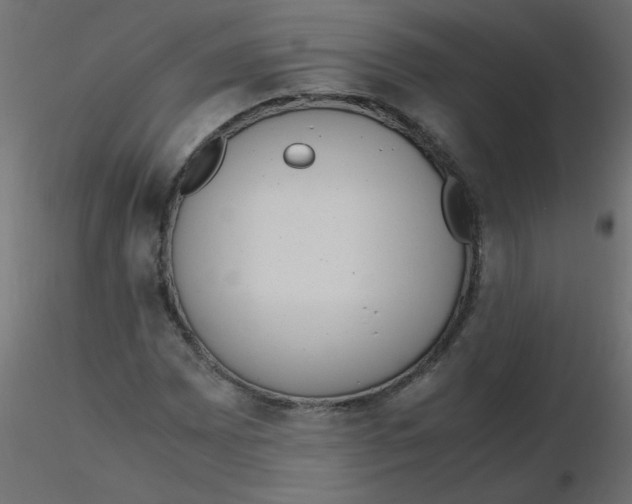 X0000116621065200912312134