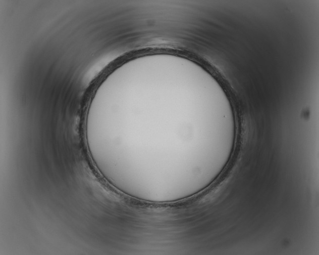 X0000116621066200912312134