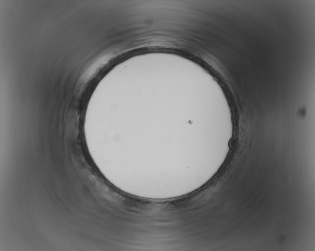 X0000116621067200912312134