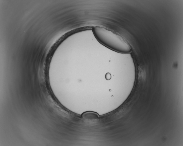 X0000116621068200912312134