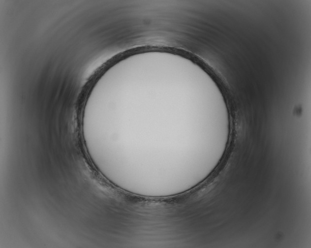 X0000116621070200912312134