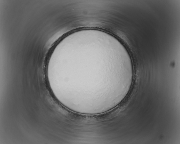 X0000116621071200912312134