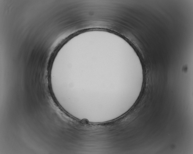 X0000116621072200912312134