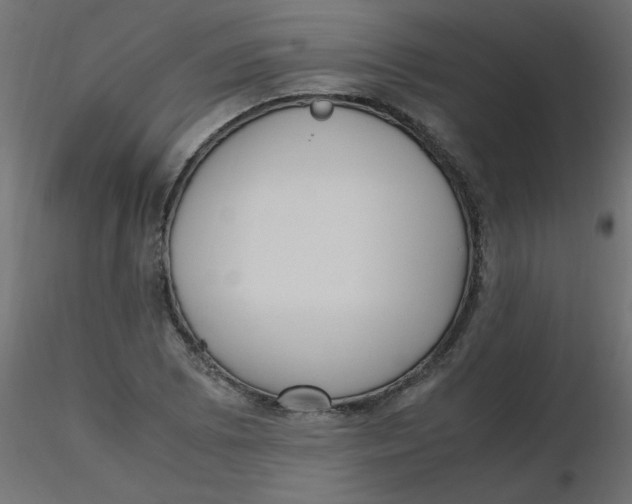 X0000116621073200912312134