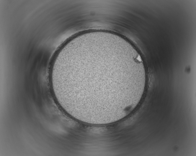 X0000116621074200912312134