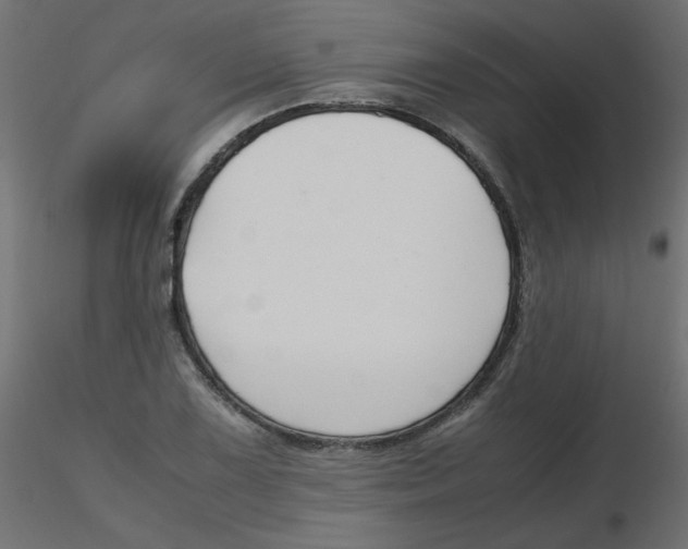 X0000116621075200912312134