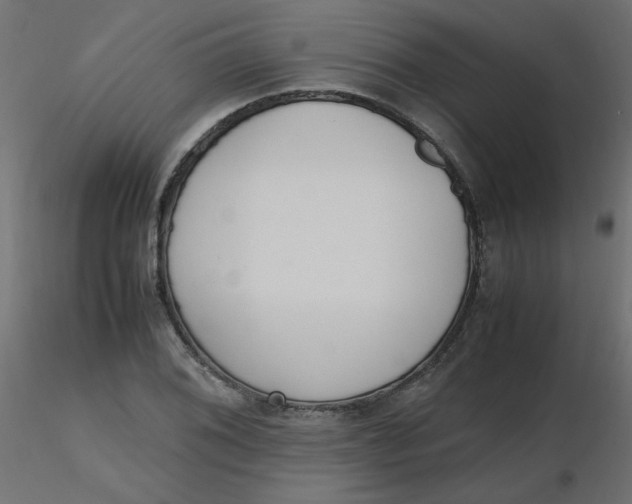 X0000116621076200912312134