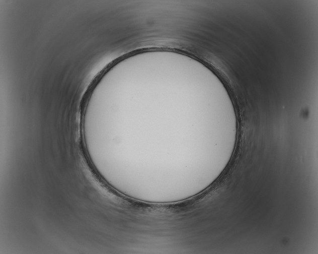 X0000116621079200912312134