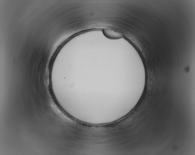 X0000116621080200912312134