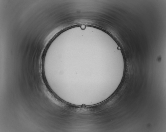 X0000116621082200912312134