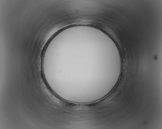 X0000116621083200912312134