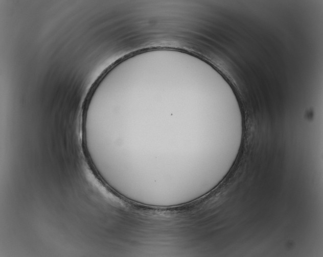 X0000116621084200912312134