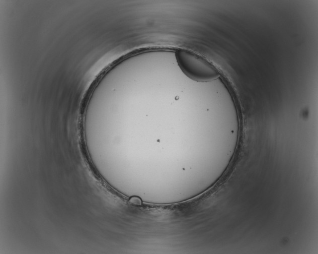 X0000116621085200912312134