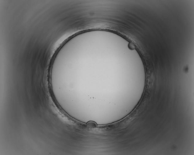 X0000116621086200912312134