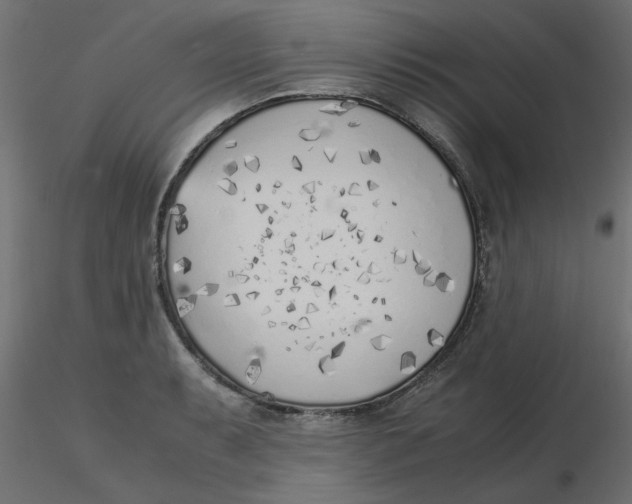 X0000116621087200912312134