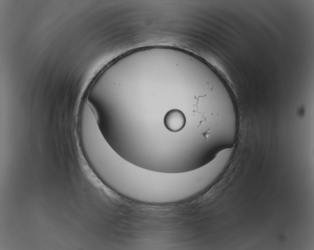 X0000116621088200912312134