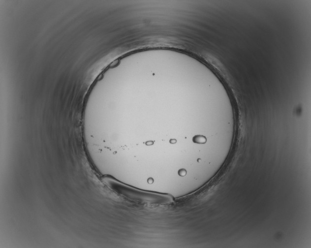 X0000116621089200912312134