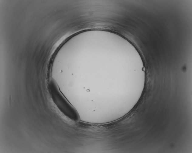 X0000116621091200912312134