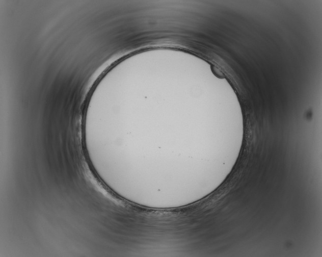 X0000116621092200912312134