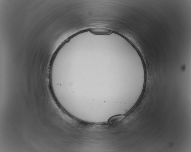 X0000116621093200912312134