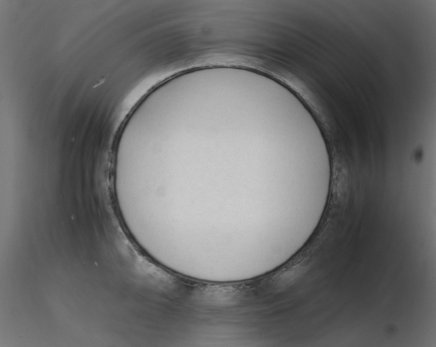 X0000116621094200912312134