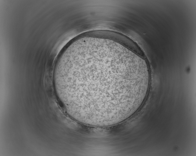 X0000116621097200912312133